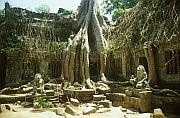 柬埔寨吳哥遺跡：塔普倫寺（Ta Prohm）、Ta Keo