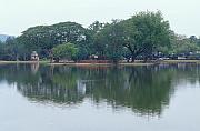 Wat Mahathat 外