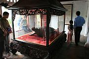疑似神龜