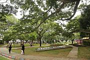 Taman Bunga Merdeka