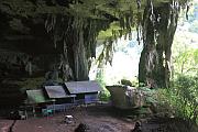 Niah National Park (Niah Cave) - 馬來西亞砂勞越之旅