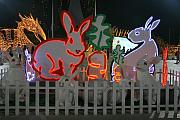 兔年賀歲燈飾