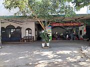 試食炸蟋蟀的地方