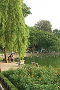 湖畔的公園