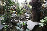 瘋狂屋